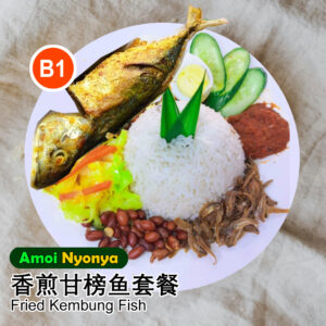 10 sets of B1 - Fried Kembung Fish Nasi Lemak